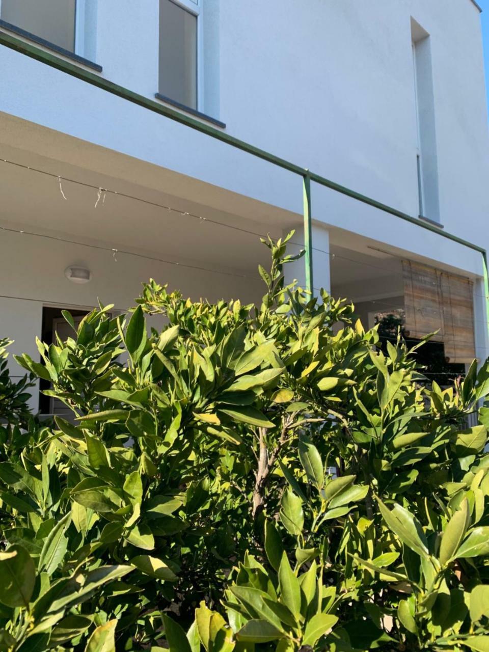 Modern Apartments Day Šibenik Exteriér fotografie